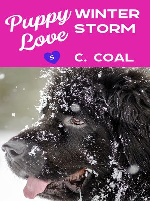 cover image of Puppy Love Winter Storm